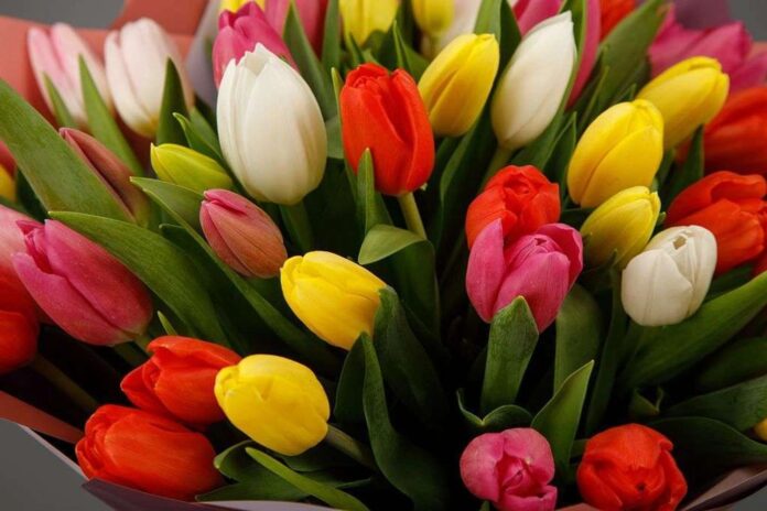 8 mart gutlag поздравление