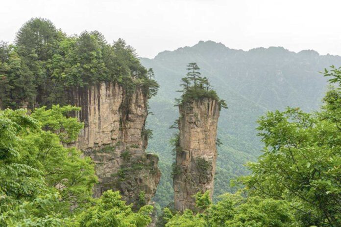 national-park-hunan china-forest