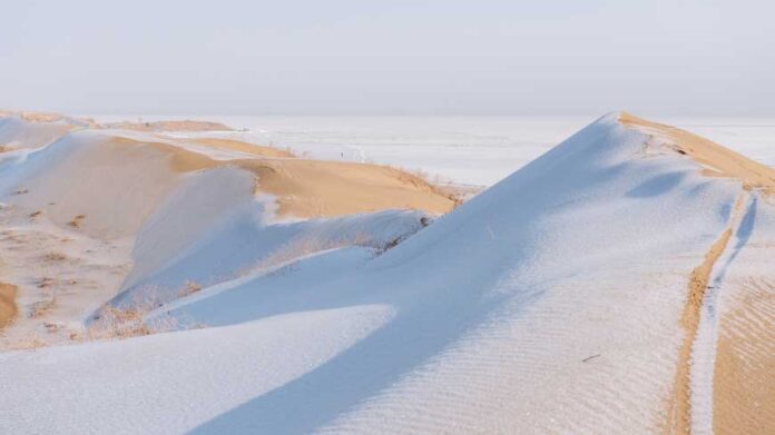 saud-arabystanda-gar-yagdy-snow-desert-col