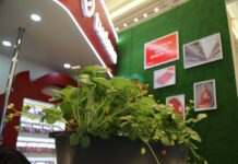Туркменская клубника «Tudana» уверенно покоряет зарубежные рынки