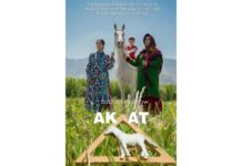 «Ak at» ak menzillerde