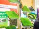 На выставке в Ашхабаде представлены прочные газоны WMGrass