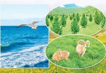 Tebigaty goramak hemmämiziň borjumyzdyr