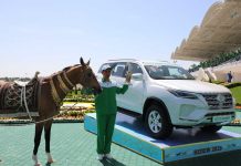 Hankerwen – «Ýylyň iň owadan ahalteke bedewi»