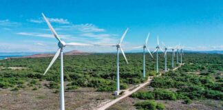 Ýewropada elektrik energiýasy 25% arzanlady