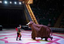 Sirk tomaşasyna geliň!