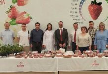 Бизнес-делегация Беларуси посетит Ашхабад в мае