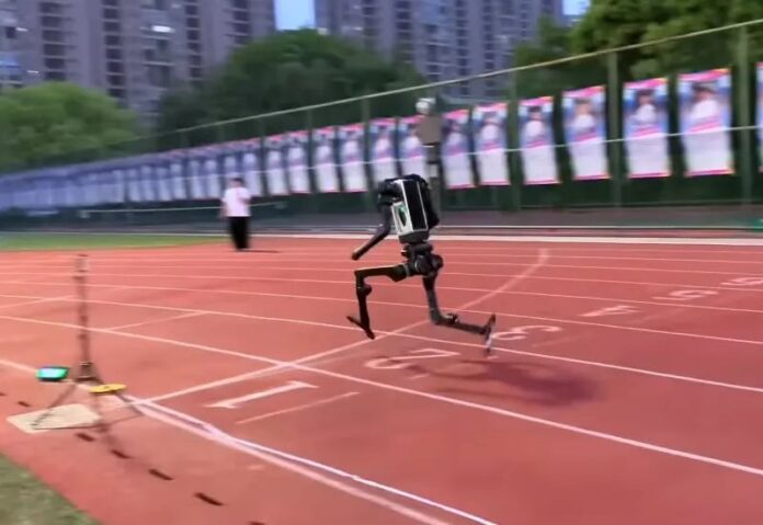 unitree robot