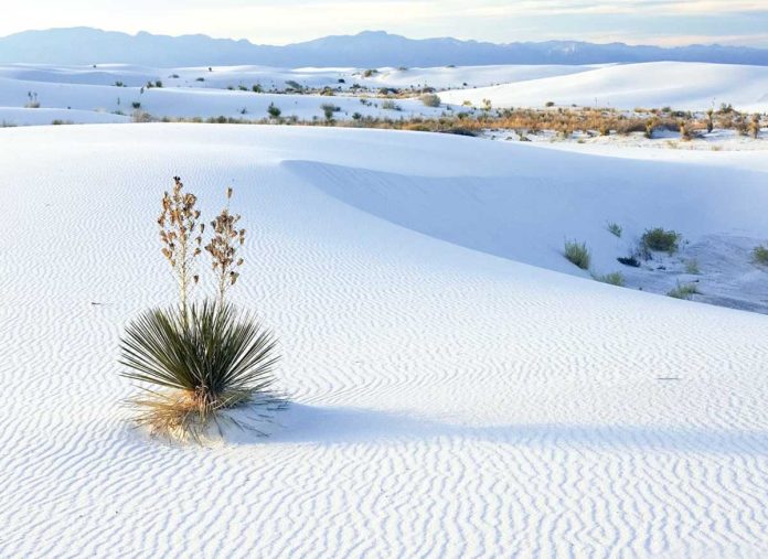 white-sand-usa-america