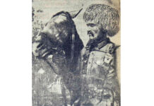 Atly ýöriş bilen adygan