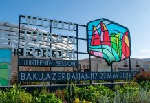“UN-Habitat” Türkmenistanda öz taslama edarasyny açmagy meýilleşdirýär