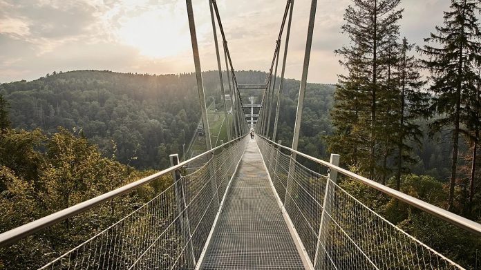 bridge pedesterian