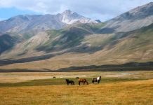 Kyrgyzstan bans motorized vehicles in parks, beaches, and pastures