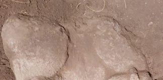 Müsürde faraon Ramses II-niň heýkeli tapyldy