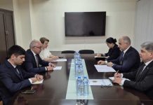 Türkmenistanyň we Ermenistan Respublikasynyň Daşary işler ministrleriniň orunbasarlarynyň duşuşygy