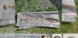 Norwegiýaly okuwçy gezelenç wagty Wikingler döwrüniň gylyjyny tapdy