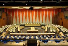 17 states elected into UN Economic and Social Council for 3-year term