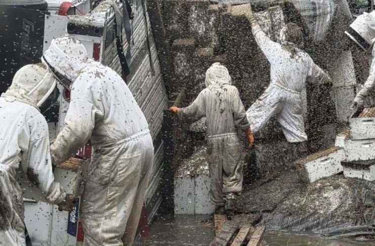 Tehasda ary daşaýan ýük ulagy agdy
