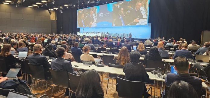 cop31