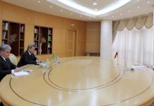 Türkmenistanyň Daşary işler ministrliginde Germaniýa Federatiw Respublikasynyň Ilçisi bilen duşuşyk geçirildi