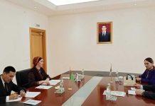 Türkmenistanyň Daşary işler ministriniň orunbasary ICAPP-nyň Sekretariatynyň Ýörite wekili bilen duşuşyk geçirdi