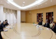 Türkmenistanyň DIM-nde Ýaponiýanyň Ilçisi bilen duşuşyk geçirildi