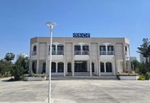 Halkara hünärmenler bilen birlikde okuw maslahatlary geçirildi