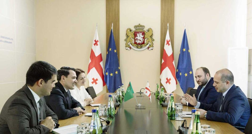 tbilisi-dowletmyrat-seyitmammedov-turkmenistan-ambassador-georgia