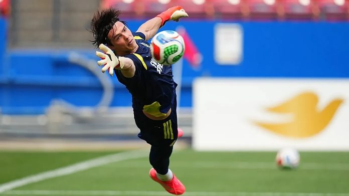 world cup football