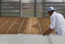 8400 job openings available on Kyrgyz labor market