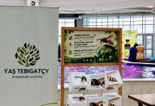 Ýaşyl geljege ynamly ädim: Paýtagtymyzda eko-festiwal geçirildi