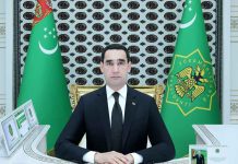 Türkmenistanyň Prezidenti sanly ulgam arkaly iş maslahatyny geçirdi
