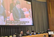 Türkmenistan Ýokary derejeli syýasy forumda: 2030-njy ýyla çenli Durnukly ösüş maksatlaryna ýetmek boýunça çäreleri tizleşdirmek