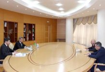 Türkmenistanyň Daşary işler ministri BMG-niň Baş sekretarynyň Ýörite wekili bilen duşuşdy