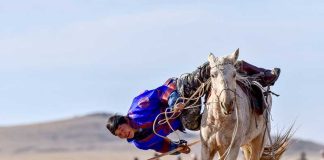 Mongoliýada ilkinji gezek Bütindünýä at güni resmi taýdan bellenildi