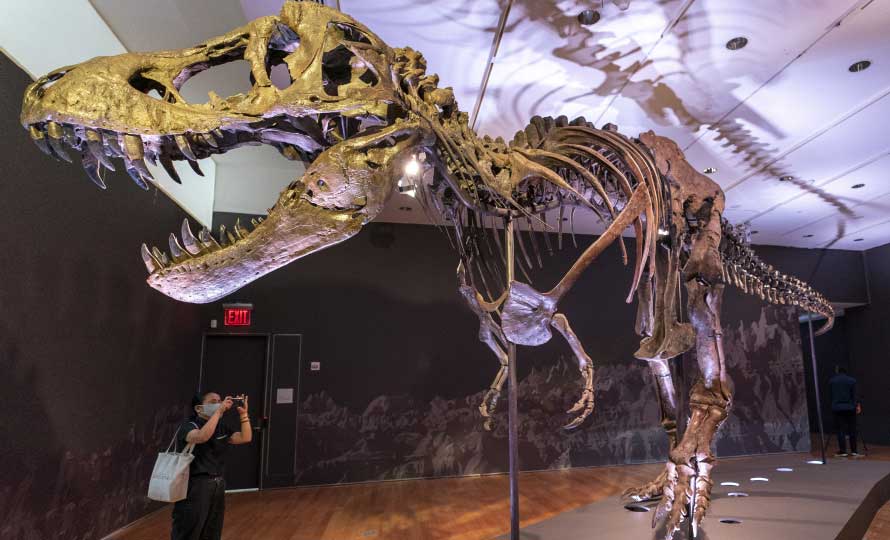 most-expensive-dynosaur-dinozawr-t-rex-960x540