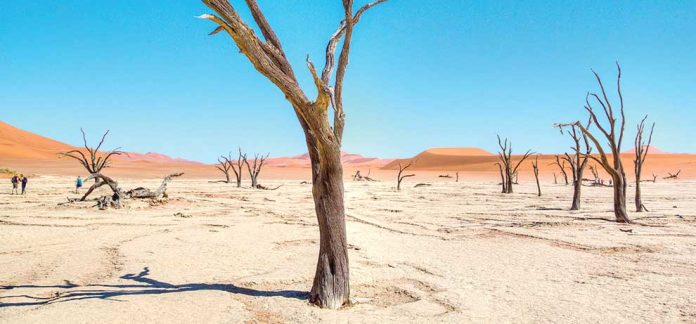 namibian-dead-desert