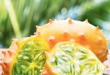 Kiwano – tikenli gawun