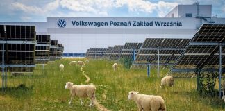 Volkswagen zawodynda 100 goýun “işe başlady”