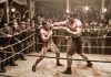 Höwesjeň boksçy