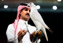 Falcon sold for 346 000 dollar at Riyadh auction