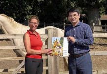 Belgium is preparing for the Akhal-Teke World Championships