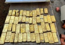 Belgiýada 9 million ýewrolyk hazyna tapyldy