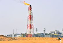 Türkmenistanda mezozoý çökündileri nebitgaz çykarylyşyny artdyrmagyň geljekli ätiýaçlygy hökmünde kesgitlendi