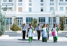 В Туркменистане пройдет месячник безопасности дорожного движения