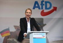 Saýlawlarda AfD-niň üstünligi