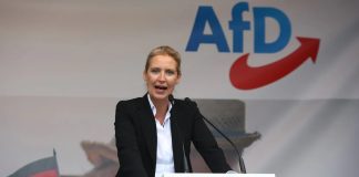 Saýlawlarda AfD-niň üstünligi