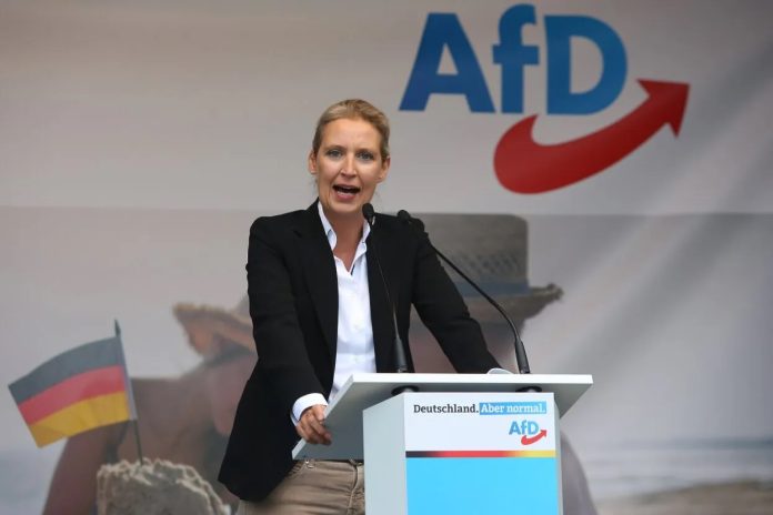 AFD germany elections