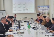 Aral deňziniň basseýninde BMG-niň Ýörite maksatnamasyny durmuşa geçirmäge degişli konsultatiw duşuşyk