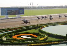 Aşgabat atçylyk sport toplumynda baýramçylyk dabaralary geçirildi